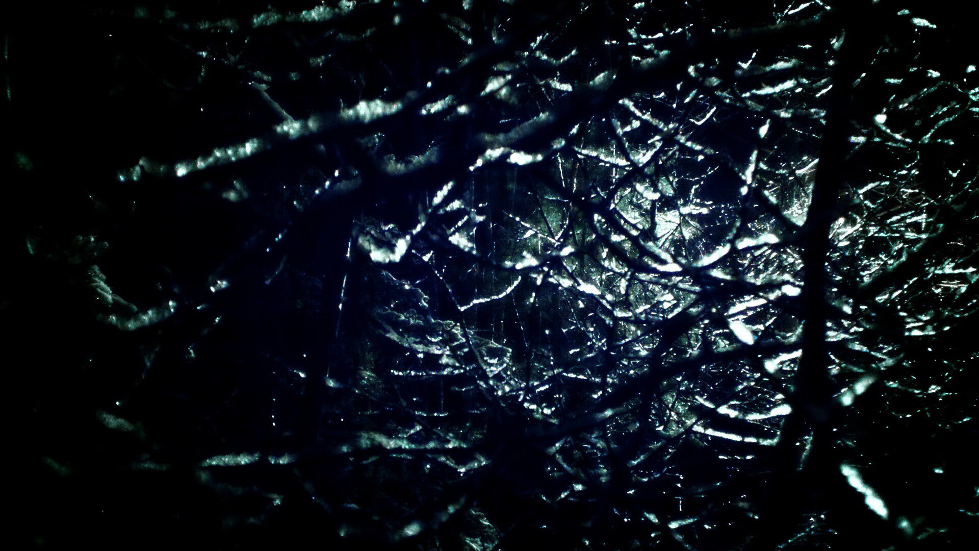 _加州硬地赛:热血拼搏,谁能摘取桂冠?_,加州t.