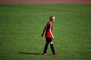 九游sports-中国足球俱乐部青训营技术指导持续加强，中国足球青训机构